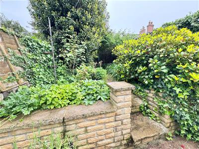 Picture 14